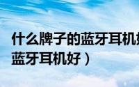 什么牌子的蓝牙耳机好十大排名（什么牌子的蓝牙耳机好）