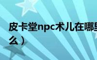 皮卡堂npc术儿在哪里（皮卡堂术儿礼盒有什么）