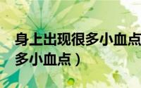 身上出现很多小血点什么问题?（身上出现很多小血点）