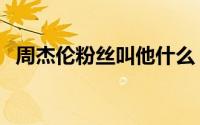 周杰伦粉丝叫他什么（周杰伦粉丝叫什么）