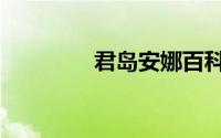 君岛安娜百科（君岛安娜）