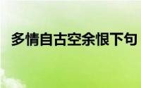 多情自古空余恨下句（多情自古伤空余恨）