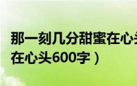 那一刻几分甜蜜在心头范文（那一刻几分甜蜜在心头600字）