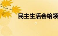 民主生活会给领导提意见怎么提