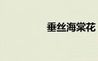 垂丝海棠花（垂丝海棠）