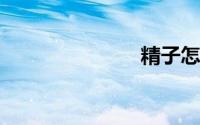 精子怎么出来