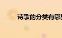 诗歌的分类有哪些（诗歌的分类）