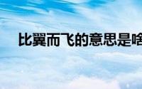 比翼而飞的意思是啥（比翼而飞的意思）