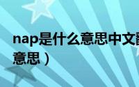 nap是什么意思中文翻译怎么读（nap是什么意思）