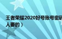 王者荣耀2020好号账号密码（王者荣耀好号和密码v8没有人要的）