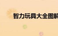 智力玩具大全图解（智力玩具大全）