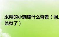采精的小蝴蝶什么背景（网上所谓的采精的小蝴蝶是不是进监狱了）