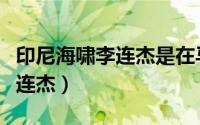 印尼海啸李连杰是在马尔代夫吗（印尼海啸李连杰）