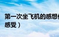 第一次坐飞机的感想作文（第一次坐飞机作文感受）