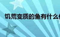 饥荒变质的鱼有什么作用（饥荒变质的鱼）