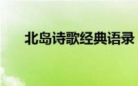 北岛诗歌经典语录（北岛的经典诗歌）