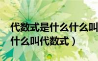 代数式是什么什么叫代数式?（代数式是什么什么叫代数式）