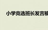 小学竞选班长发言稿（竞选班长发言稿）