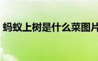 蚂蚁上树是什么菜图片（蚂蚁上树是什么菜）