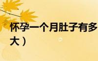 怀孕一个月肚子有多大（怀孕6个月肚子有多大）