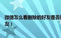 微信怎么看删除的好友是否把你拉黑（微信怎么看删除的好友）