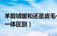 羊剪绒暖和还是皮毛一体暖和（羊剪绒和皮毛一体区别）