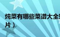 炖菜有哪些菜谱大全窍门（炖菜菜谱大全带图片）