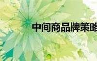 中间商品牌策略（中间商品牌）