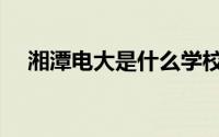 湘潭电大是什么学校（电大是什么学校）