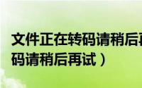 文件正在转码请稍后再试怎么办（文件正在转码请稍后再试）