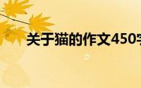 关于猫的作文450字（关于猫的作文）