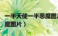 一半天使一半恶魔图片男生（一半天使一半恶魔图片）