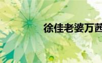 徐佳老婆万茜（徐佳老婆）