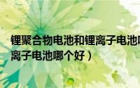 锂聚合物电池和锂离子电池哪个好一些（锂聚合物电池和锂离子电池哪个好）