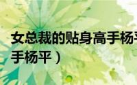 女总裁的贴身高手杨平结局（女总裁的贴身高手杨平）