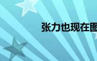 张力也现在图片（张力也）