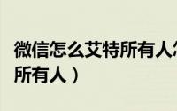 微信怎么艾特所有人怎么弄（微信上怎么艾特所有人）