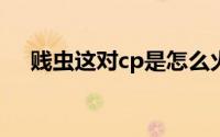贱虫这对cp是怎么火起来的（贱虫r18）