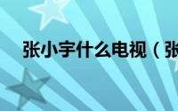 张小宇什么电视（张小宇是哪部电视剧）