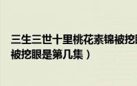 三生三世十里桃花素锦被挖眼告状（三生三世十里桃花素锦被挖眼是第几集）