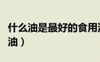 什么油是最好的食用油（最好的食用油是什么油）