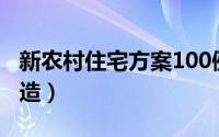 新农村住宅方案100例（新农村住宅设计与营造）