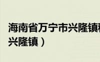 海南省万宁市兴隆镇租房信息（海南省万宁市兴隆镇）