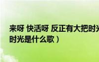 来呀 快活呀 反正有大把时光表情（来呀快活呀反正有大把时光是什么歌）