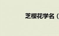 芝樱花学名（芝樱花百科）