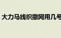 大力马线织撒网用几号线（大力马线手撒网）
