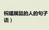 祝福属鼠的人的句子（属鼠祝福语大全四字成语）