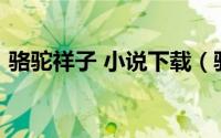 骆驼祥子 小说下载（骆驼祥子全文txt下载）
