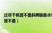 过尽千帆皆不是斜晖脉脉水悠悠意思相近的诗句（过尽千帆皆不是）