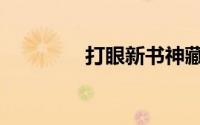 打眼新书神藏（打眼新书）